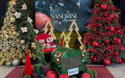 Alberi di Natale in vendita