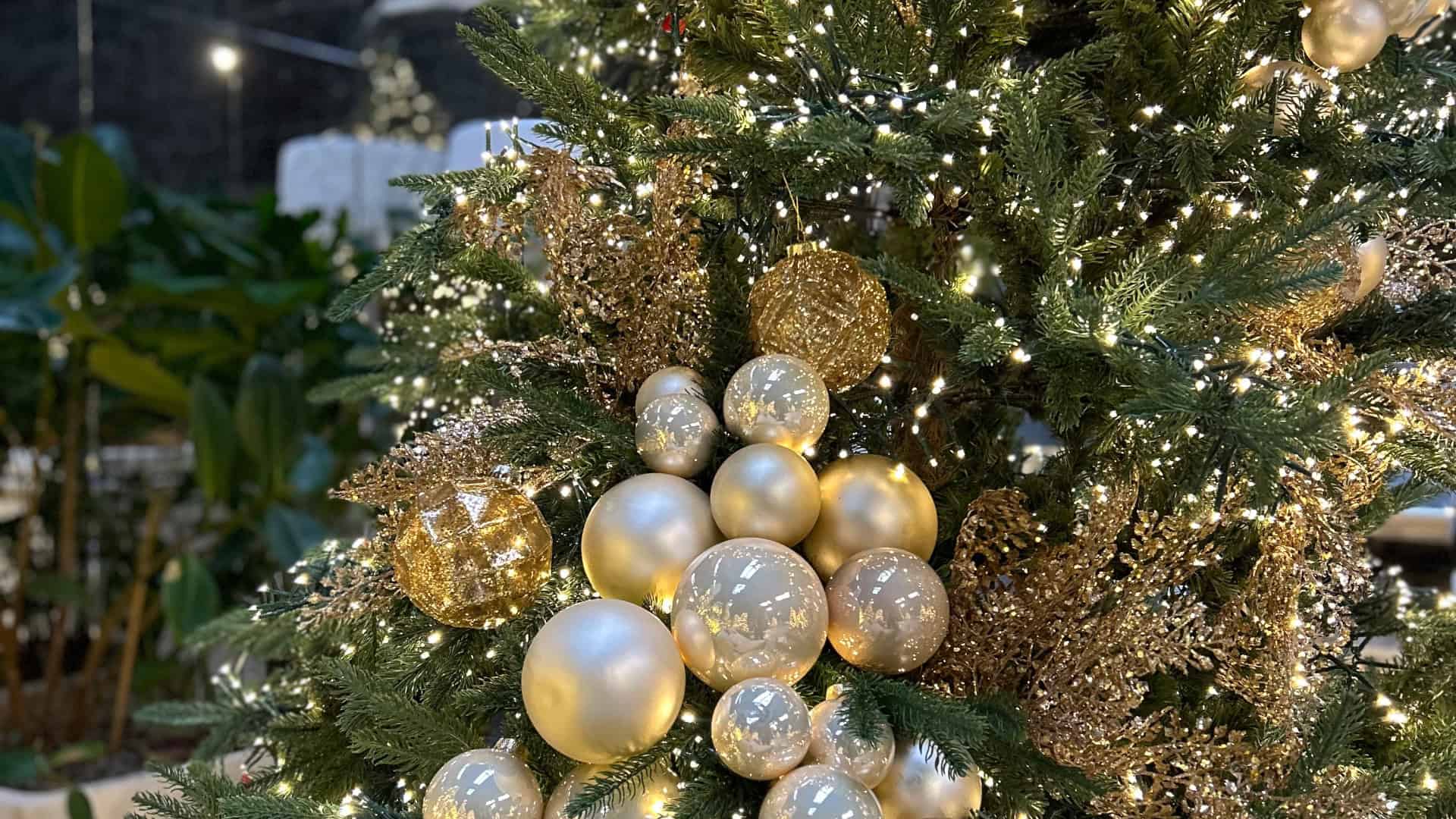Alberi di Natale addobbati idee e soluzioni 2 Le luci per gli alberi di Natale addobbati