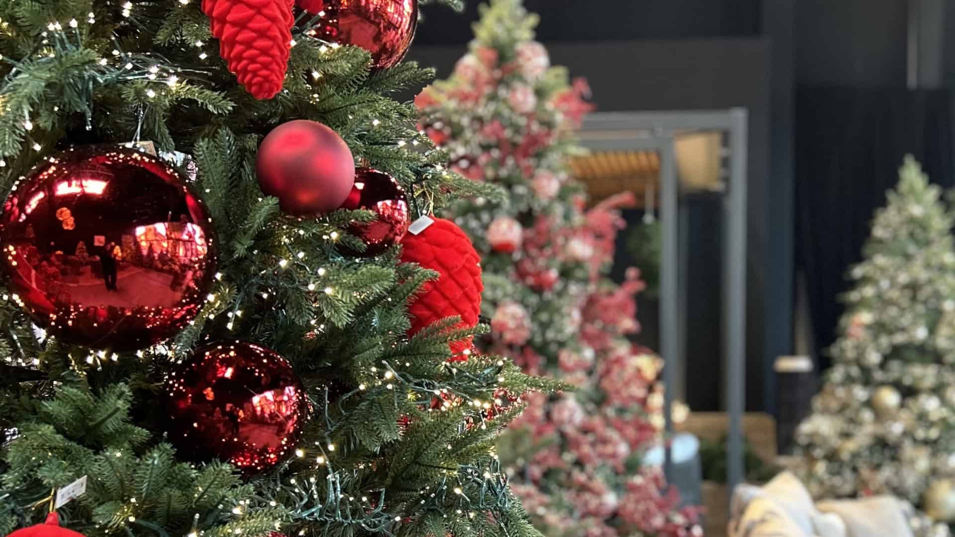 Decorazioni natalizie raffinate