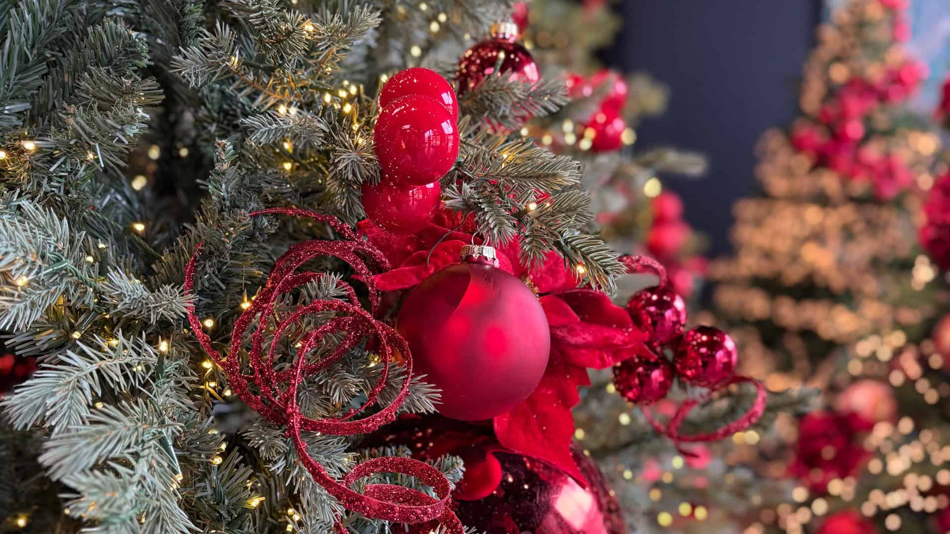Alberi di Natale in vendita 2 Dettagli che raccontano il Natale