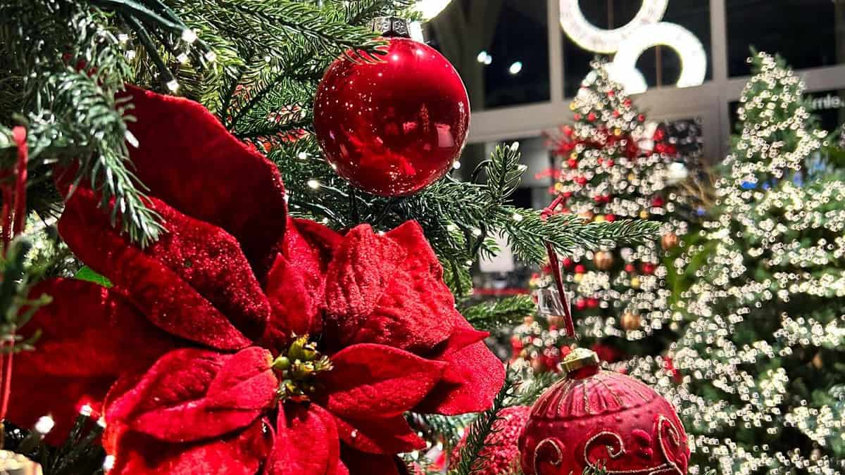 Alberi di Natale addobbati idee e soluzioni 3 I colori intramontabili del Natale