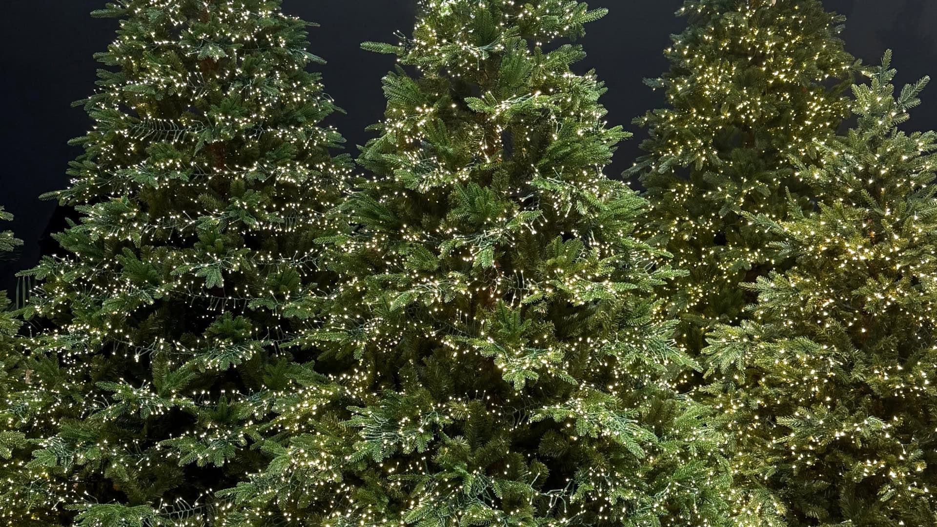 Alberi di Natale in vendita 1 Il fascino degli alberi artificiali