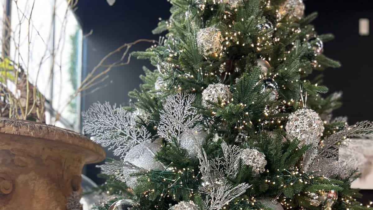 Albero di Natale con tante luci 1 L’effetto suggestivo delle luci integrate