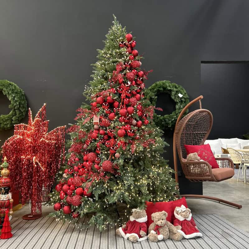 Noleggio alberi Natale sostenibili