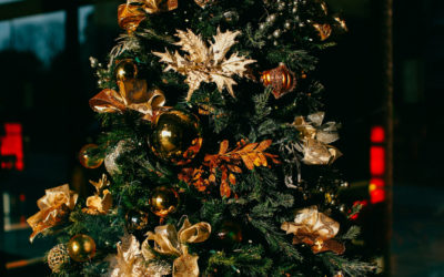 Tendenze 2025: noleggio alberi di Natale eleganti