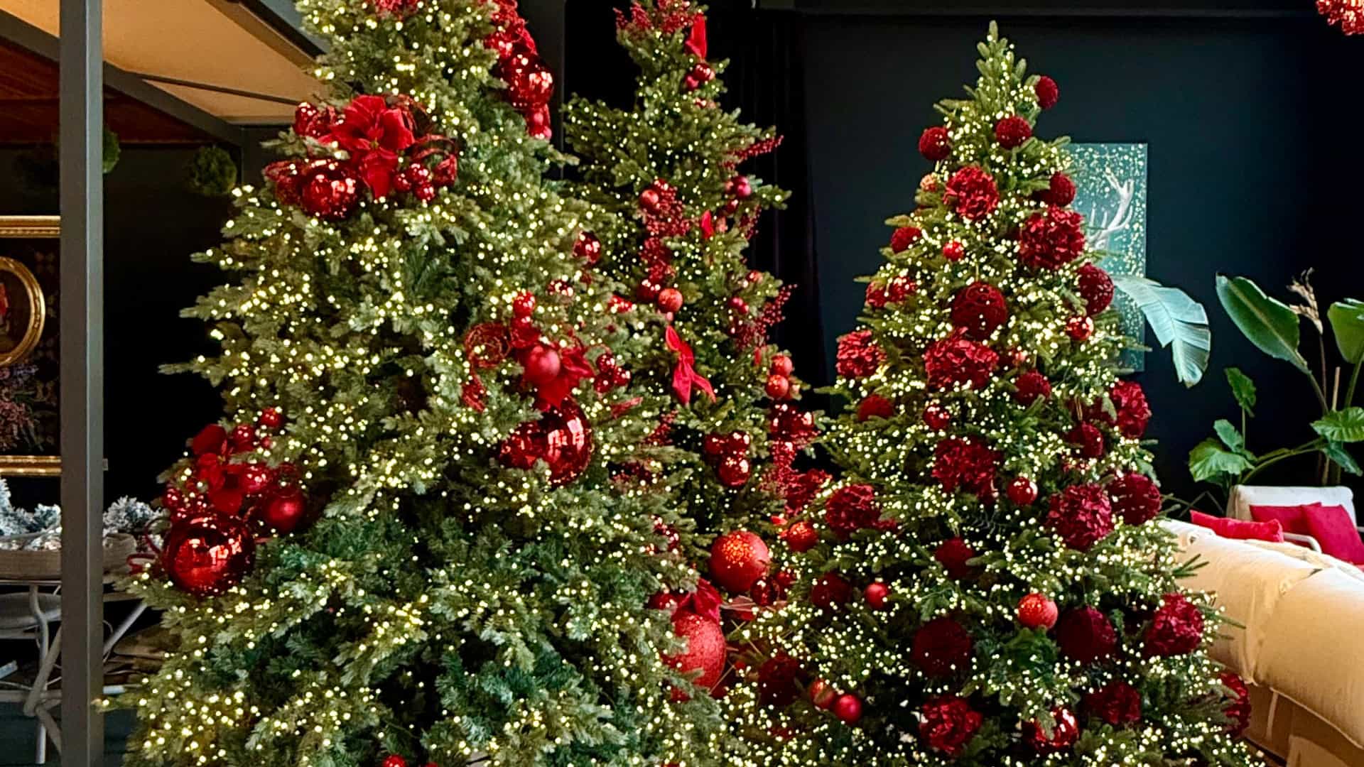 Alberi di Natale in vendita 3 Alberi di Natale in vendita per ogni personalità